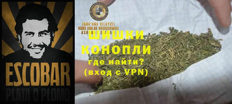 закладка  Дегтярск  Конопля OG Kush 